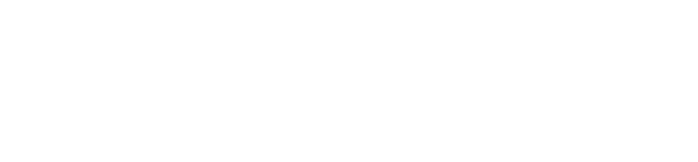 Zonatic Logo